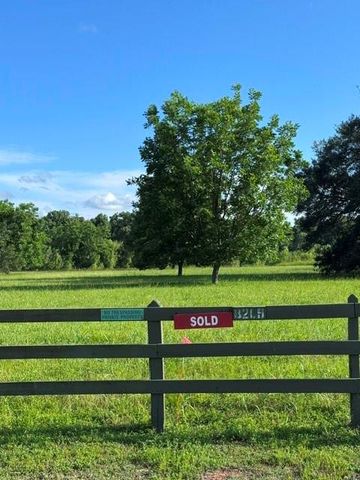 30934 Riverlake Rd, Fulshear, TX 77441