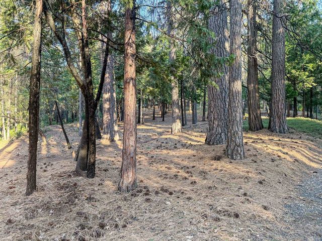 17400 Mount Elizabeth, Sonora, CA 95370