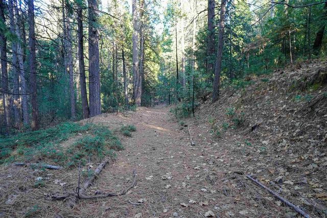 17400 Mount Elizabeth, Sonora, CA 95370