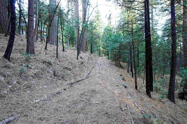 17400 Mount Elizabeth, Sonora, CA 95370