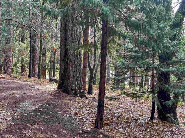 17400 Mount Elizabeth, Sonora, CA 95370