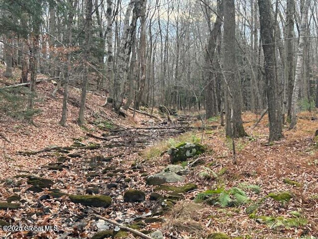 1A Nugent Road, Grafton, NY 12082