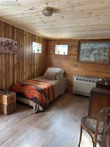 3800 Doe Valley Road, Guffey, CO 80820