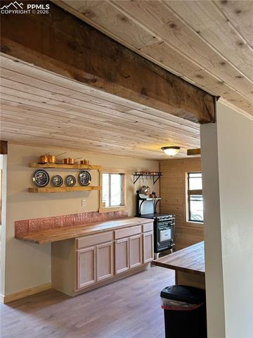 3800 Doe Valley Road, Guffey, CO 80820