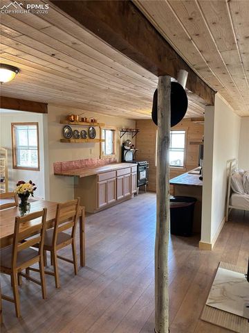 3800 Doe Valley Road, Guffey, CO 80820