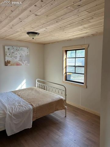 3800 Doe Valley Road, Guffey, CO 80820