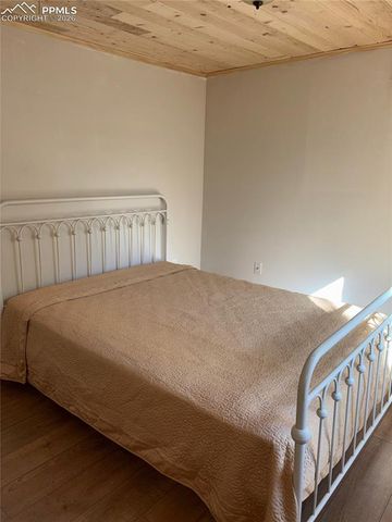 3800 Doe Valley Road, Guffey, CO 80820