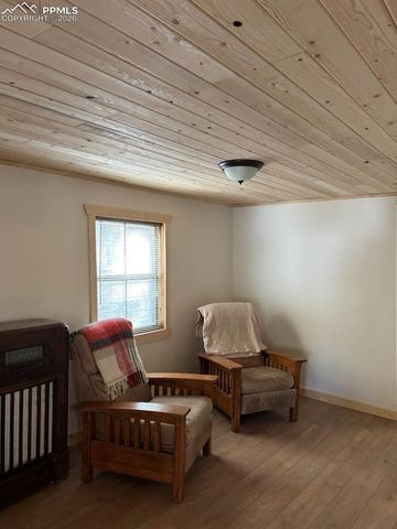 3800 Doe Valley Road, Guffey, CO 80820