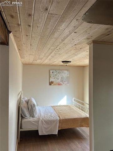 3800 Doe Valley Road, Guffey, CO 80820