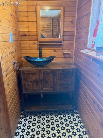 3800 Doe Valley Road, Guffey, CO 80820