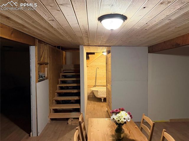 3800 Doe Valley Road, Guffey, CO 80820