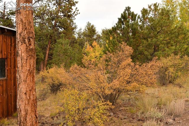 3800 Doe Valley Road, Guffey, CO 80820