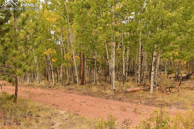 3800 Doe Valley Road, Guffey, CO 80820