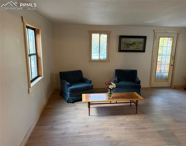 3800 Doe Valley Road, Guffey, CO 80820