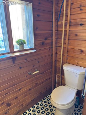 3800 Doe Valley Road, Guffey, CO 80820