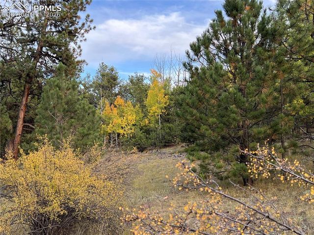 3800 Doe Valley Road, Guffey, CO 80820