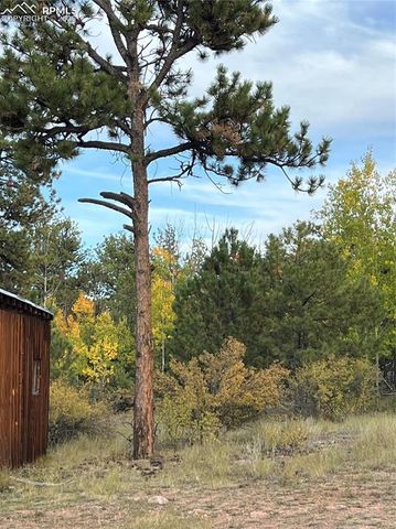 3800 Doe Valley Road, Guffey, CO 80820