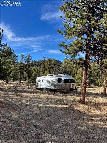 3800 Doe Valley Road, Guffey, CO 80820