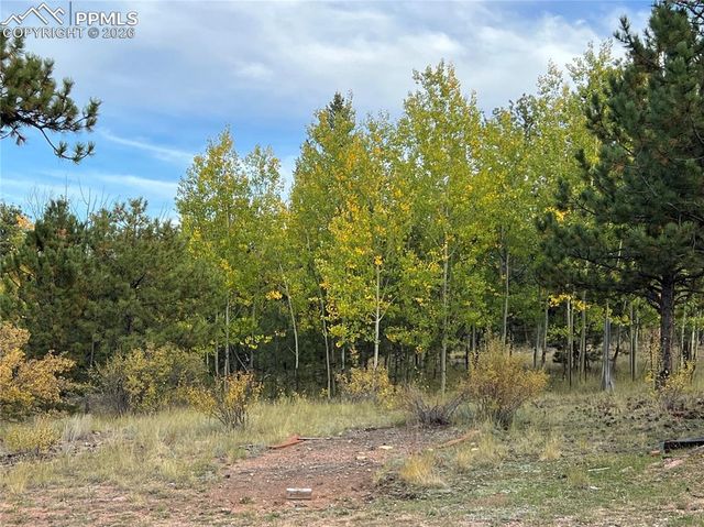 3800 Doe Valley Road, Guffey, CO 80820