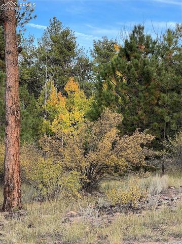 3800 Doe Valley Road, Guffey, CO 80820