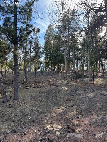 3800 Doe Valley Road, Guffey, CO 80820