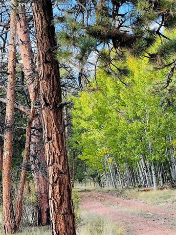 3800 Doe Valley Road, Guffey, CO 80820