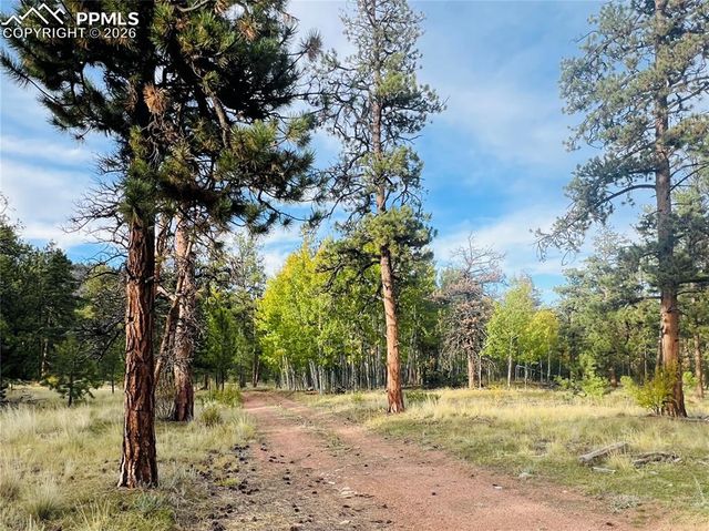 3800 Doe Valley Road, Guffey, CO 80820