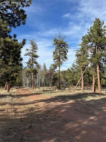 3800 Doe Valley Road, Guffey, CO 80820