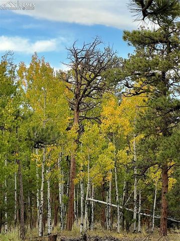 3800 Doe Valley Road, Guffey, CO 80820