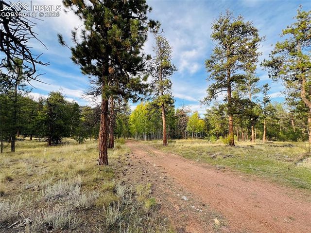 3800 Doe Valley Road, Guffey, CO 80820