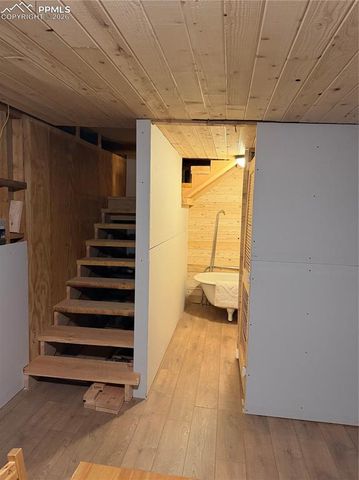 3800 Doe Valley Road, Guffey, CO 80820