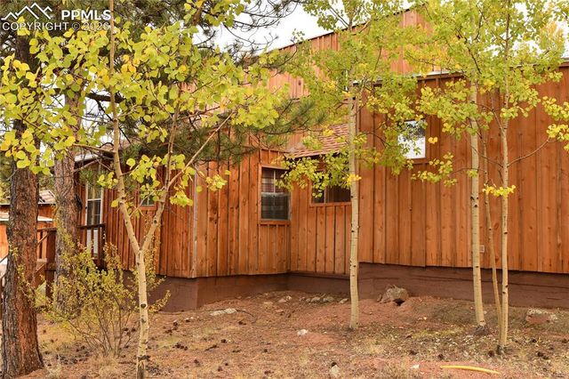 3800 Doe Valley Road, Guffey, CO 80820