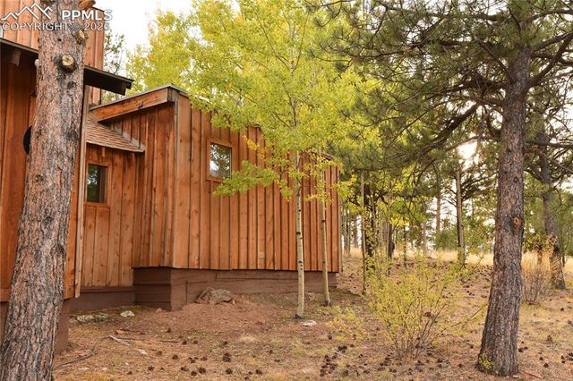 3800 Doe Valley Road, Guffey, CO 80820