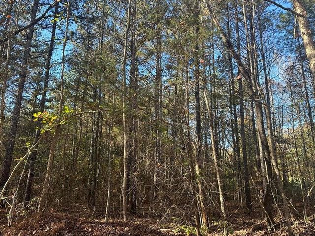 0 Mt Carmel Road, Decatur, TN 37322