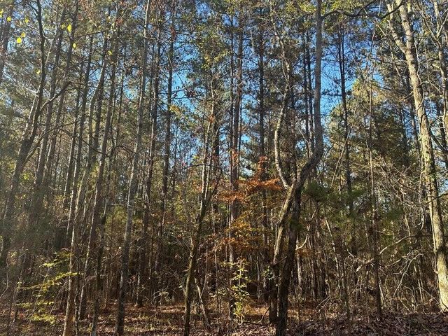 0 Mt Carmel Road, Decatur, TN 37322