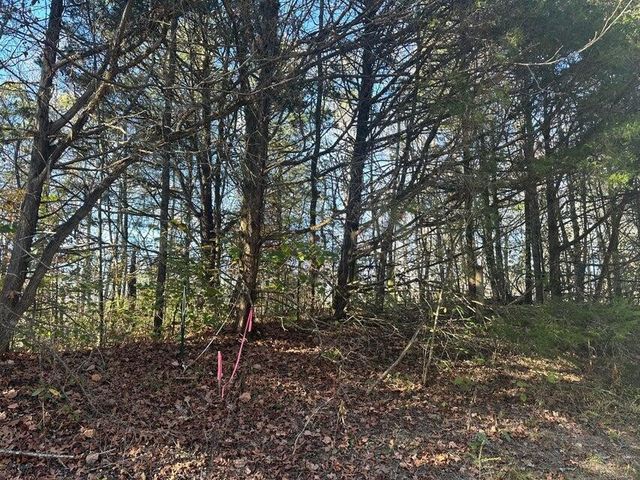 0 Mt Carmel Road, Decatur, TN 37322