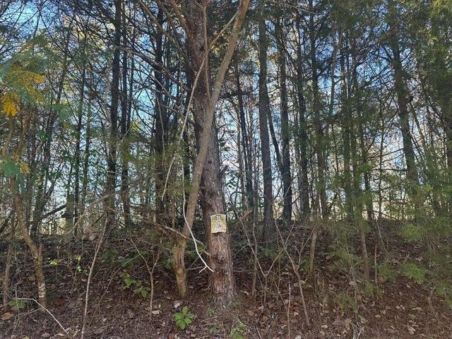 0 Mt Carmel Road, Decatur, TN 37322