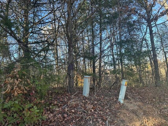 0 Mt Carmel Road, Decatur, TN 37322