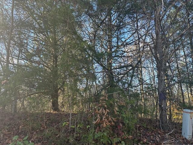 0 Mt Carmel Road, Decatur, TN 37322