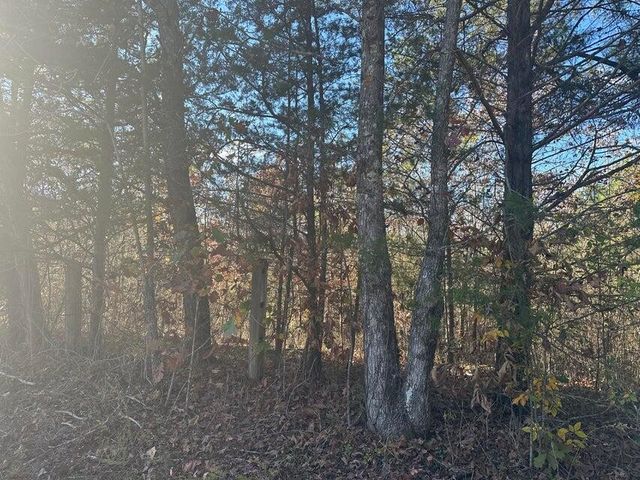 0 Mt Carmel Road, Decatur, TN 37322