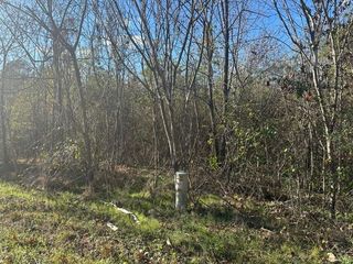 0 Mt Carmel Road, Decatur, TN 37322