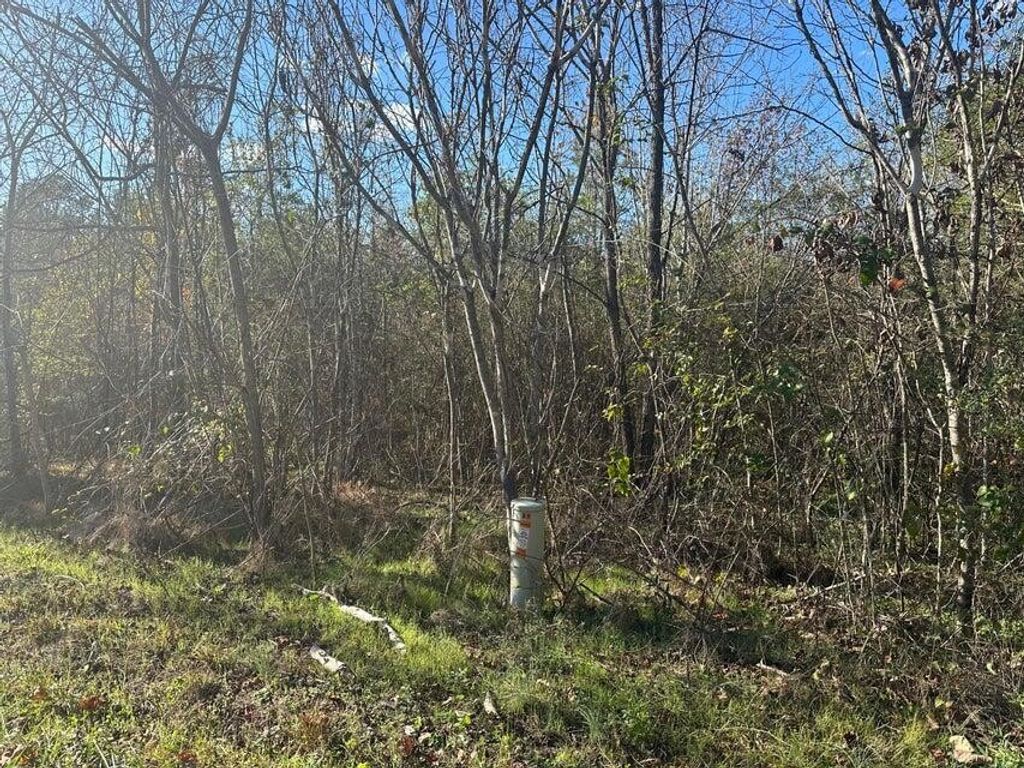 0 Mt Carmel Road, Decatur, TN 37322