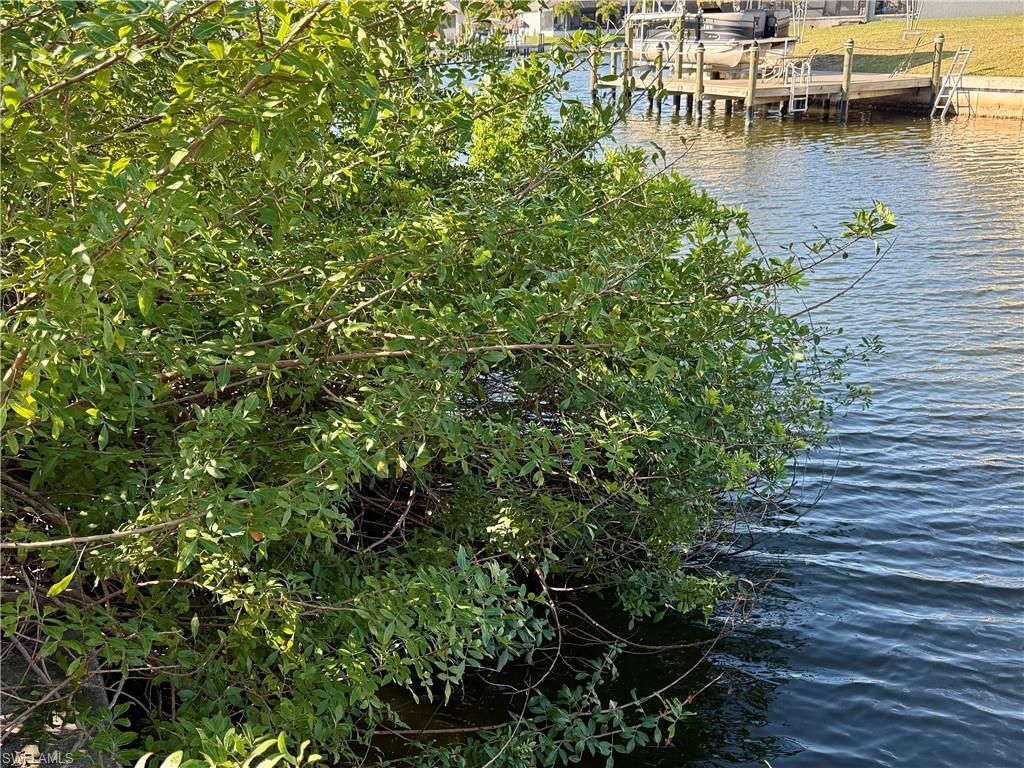 Image 11 of property listing at 400 NW 32nd PL, Cape Coral, FL 33993