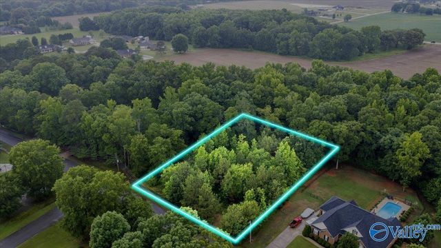 113 Whitfield Drive, Toney, AL 35773