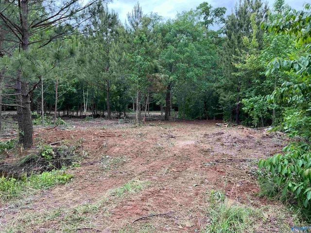 113 Whitfield Drive, Toney, AL 35773