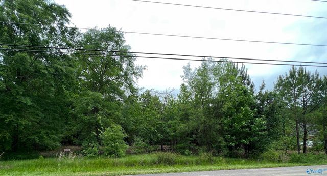 113 Whitfield Drive, Toney, AL 35773
