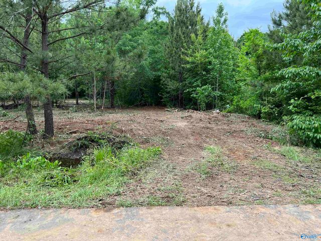 113 Whitfield Drive, Toney, AL 35773