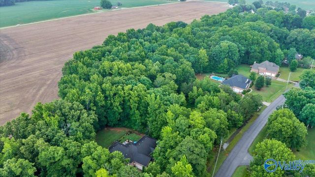 113 Whitfield Drive, Toney, AL 35773