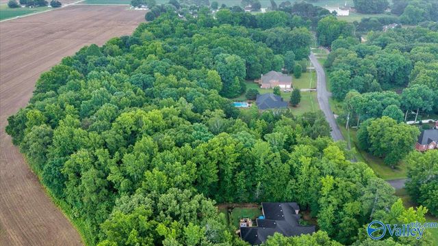 113 Whitfield Drive, Toney, AL 35773
