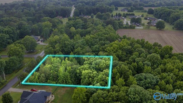 113 Whitfield Drive, Toney, AL 35773
